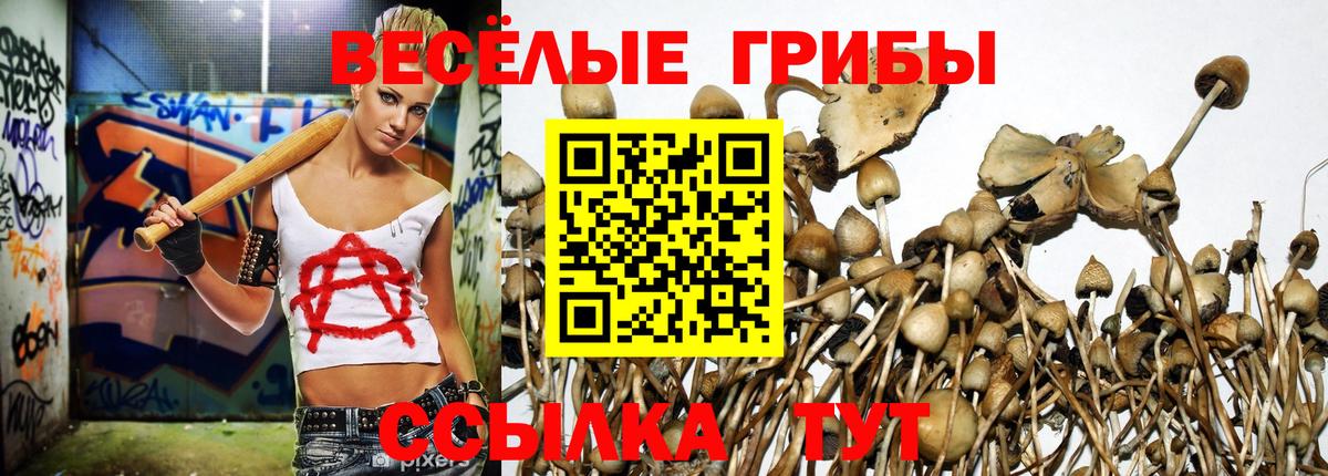 Галлюциногенные грибы мицелий  Вход с VPN  Псилоцибиновые грибы ЛСД  купить наркотики сайты  Фурманов 